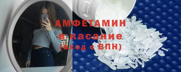 сатива Абаза
