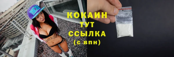 сатива Абаза